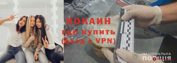 прущие грибы Мегион