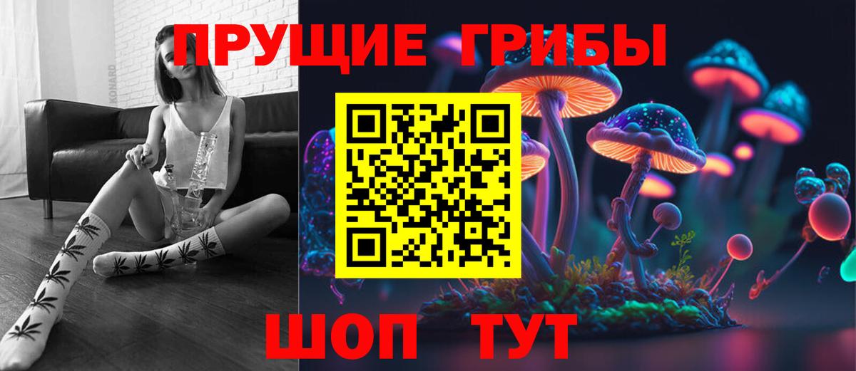 Добрянка  Галлюциногенные грибы Cubensis  Вход с VPN 